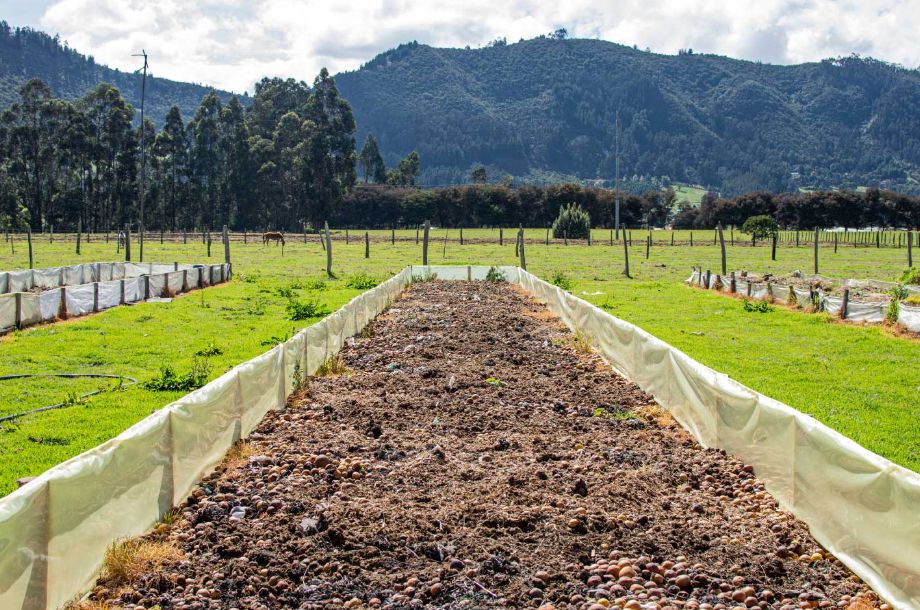 Foto: cortesía de Más Compost, Menos Basura. El compostaje permite convertir los restos de comida en abono para aportar nutrientes a la tierra y disminuir la contaminación. Foto: cortesía de Más Compost, Menos Basura. El compostaje permite convertir los restos de comida en abono para aportar nutrientes a la tierra y disminuir la contaminación.