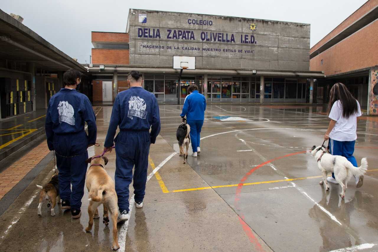 En el colegio Delia Zapata los estudiantes se hacen cargo del cuidado de los animales. Foto: cortesía.