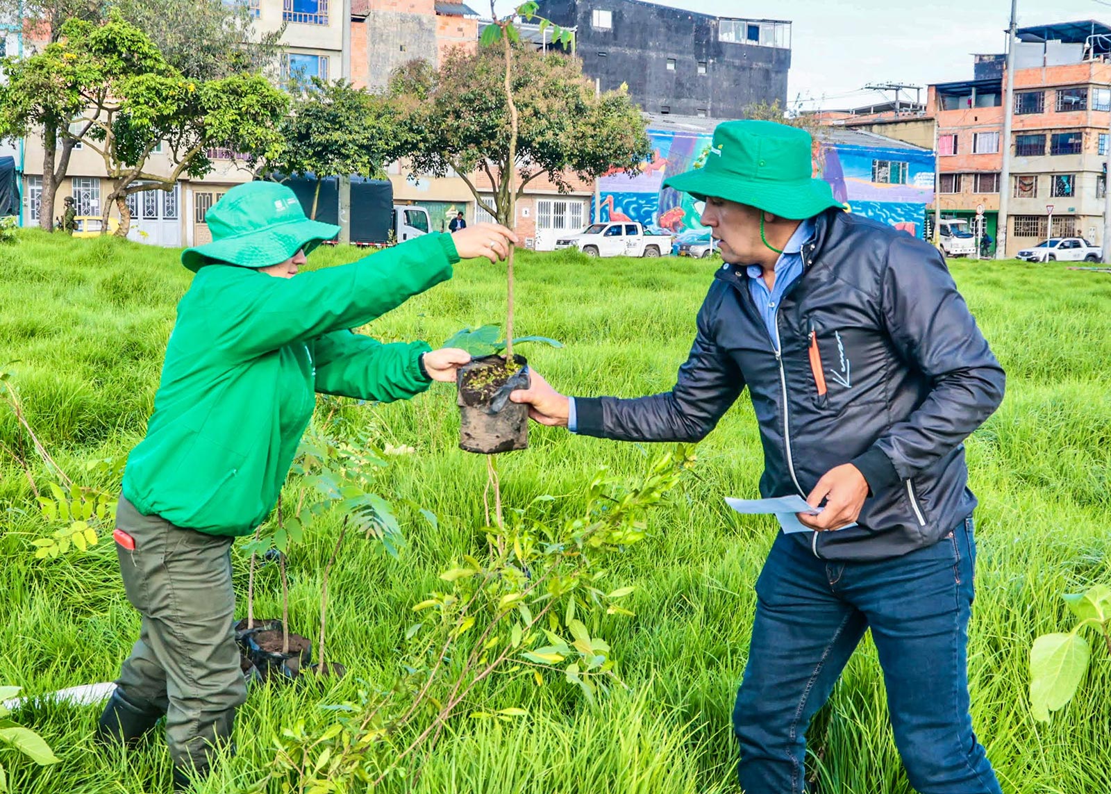 Plantaciones humedal Juan Amarillo