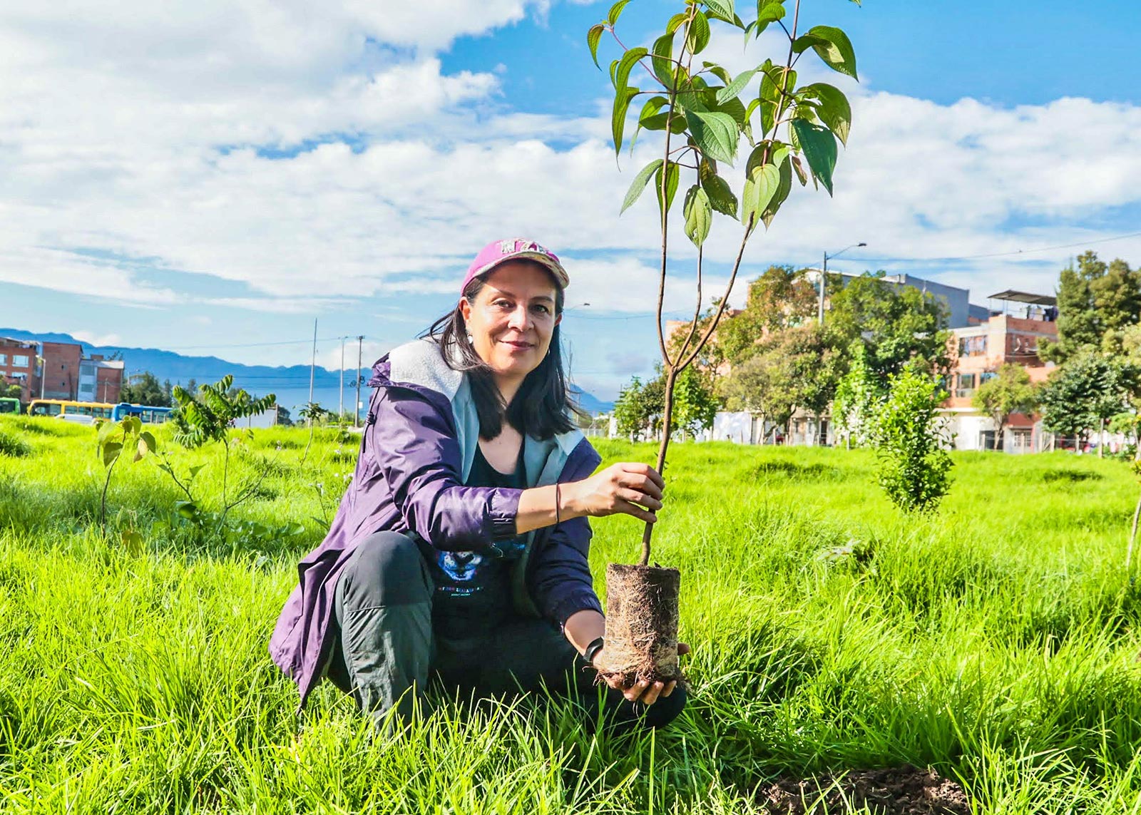Plantaciones humedal Juan Amarillo