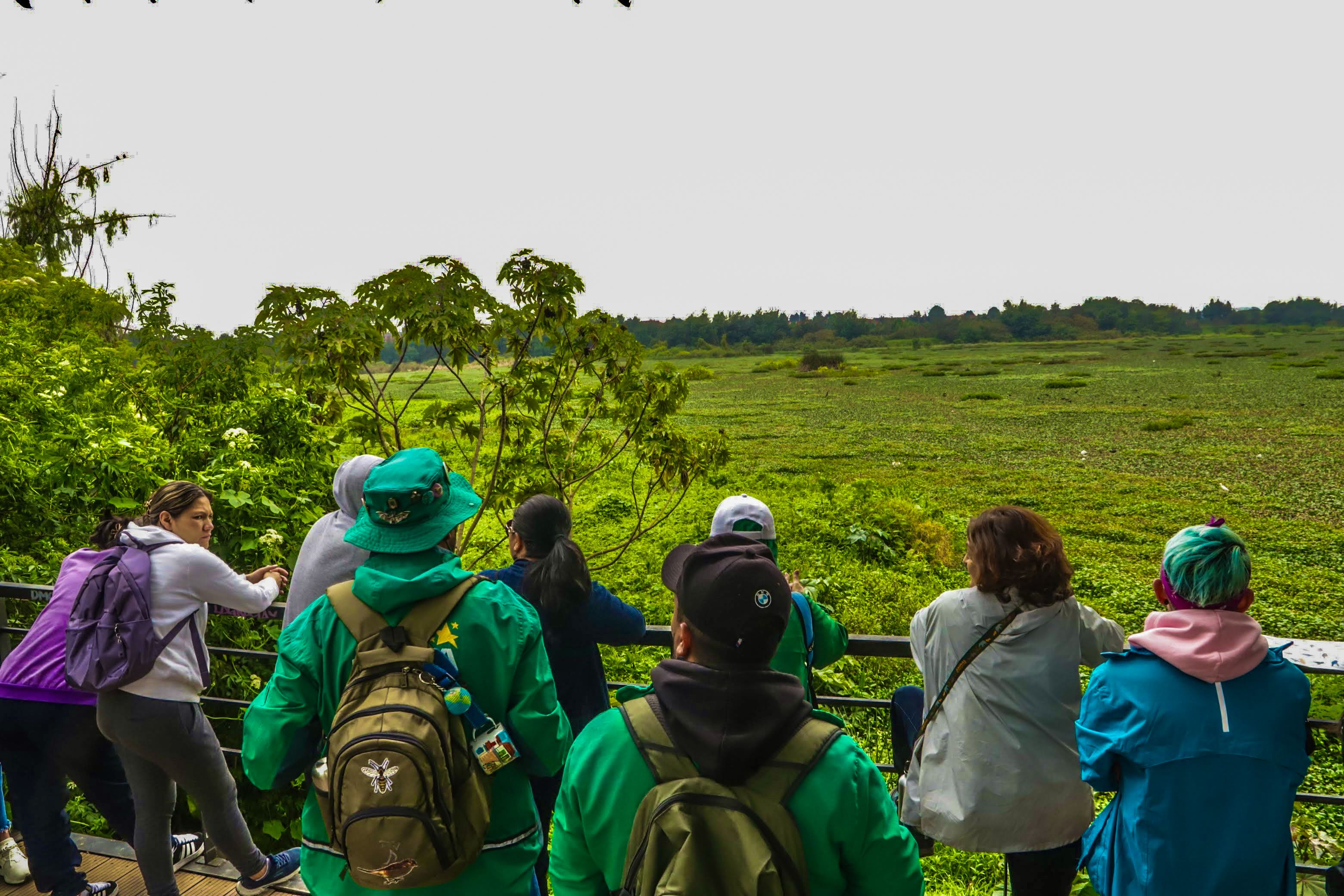 Consejo consultivo de ambiente